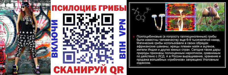Галлюциногенные грибы MAGIC MUSHROOMS  Купить  Мончегорск 
