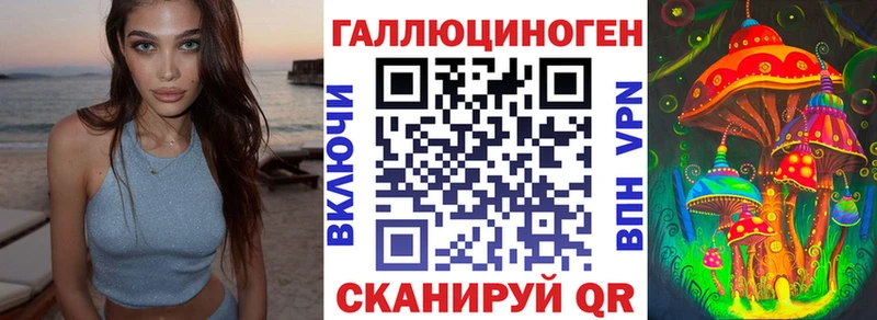 Псилоцибиновые грибы Psilocybe Мончегорск